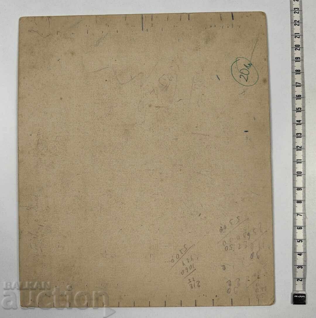 PSV LIVADA DE POMI FRUCTIFERI RĂZBOI FOTOGRAFIE DE RĂZBOI CARTON cu preț € 9.00 | 17.60 BGN