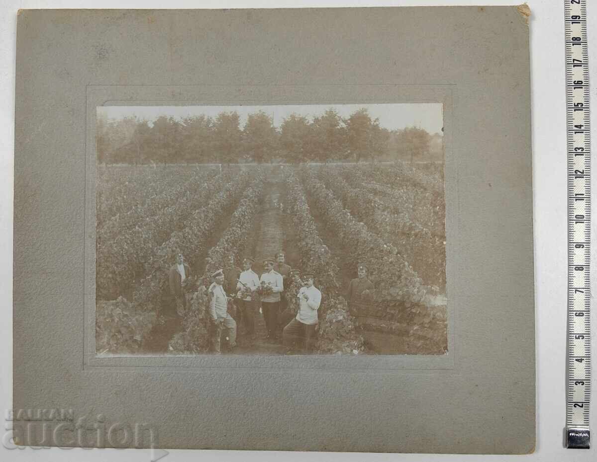 PSV LIVADA DE POMI FRUCTIFERI RĂZBOI FOTOGRAFIE DE RĂZBOI CARTON