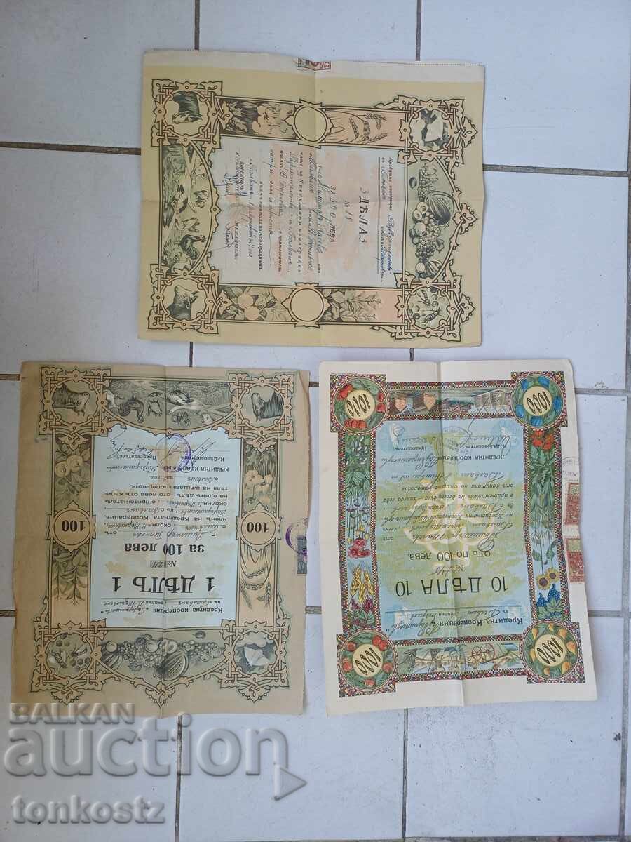 3 buc acțiuni