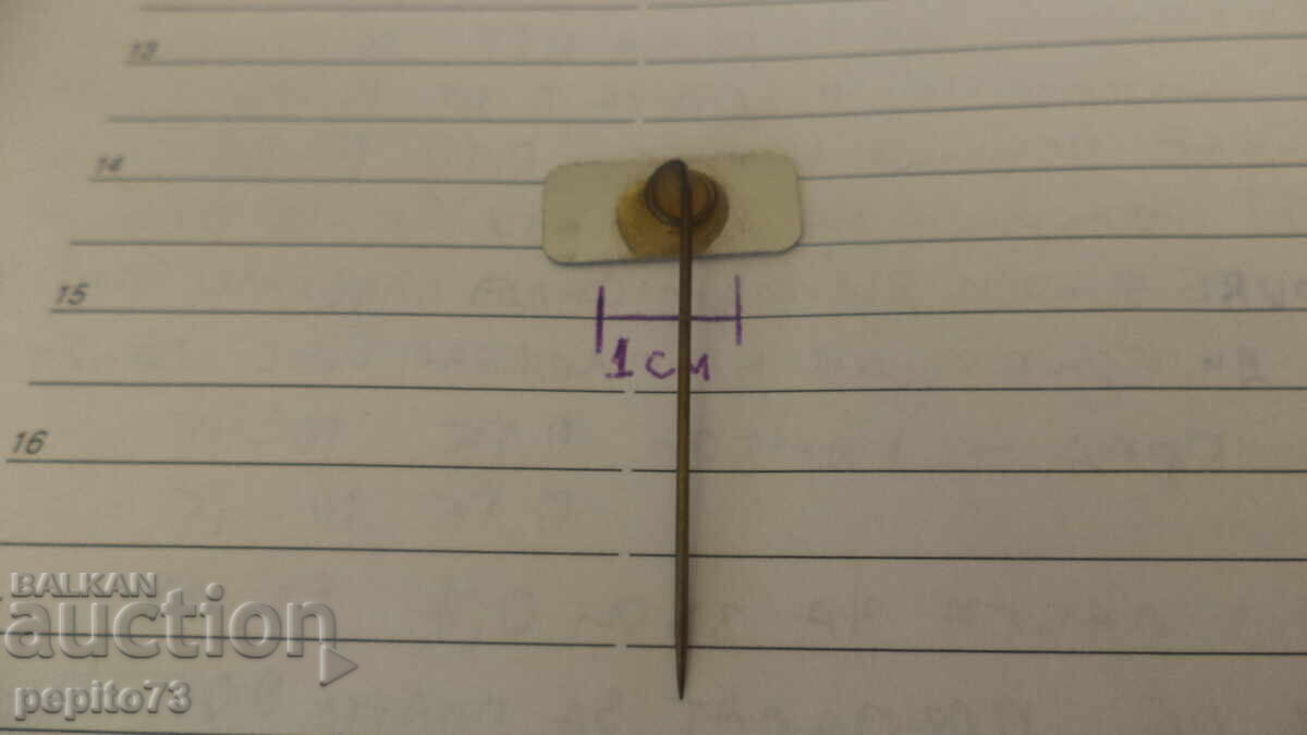 Znachka reklamna ,Revilac,marka boya i lacuri - 5