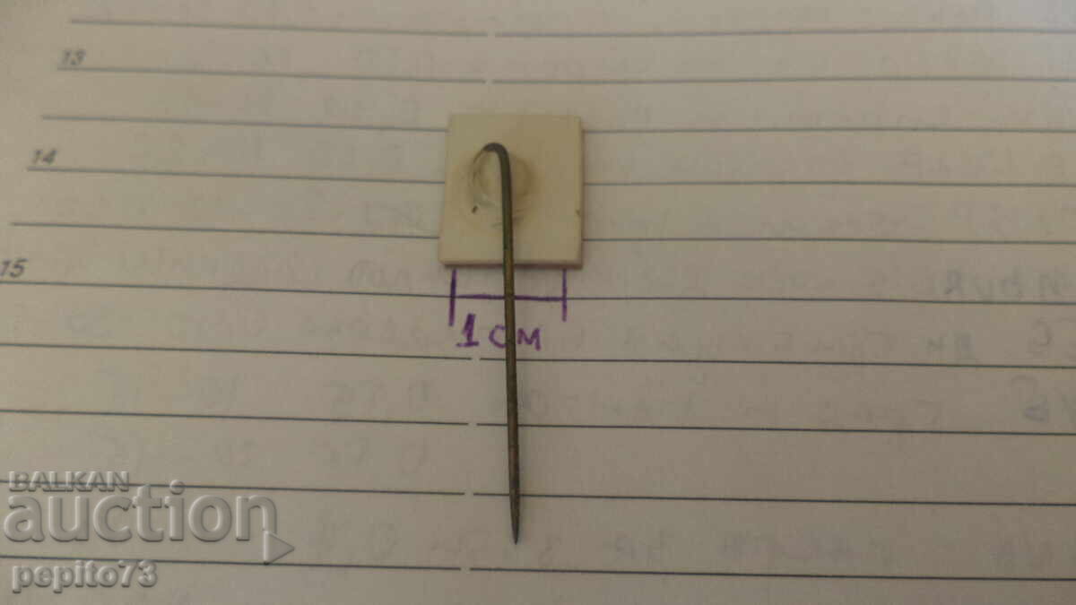 Delivery of Advertising badge, N.F.I., fish industry company