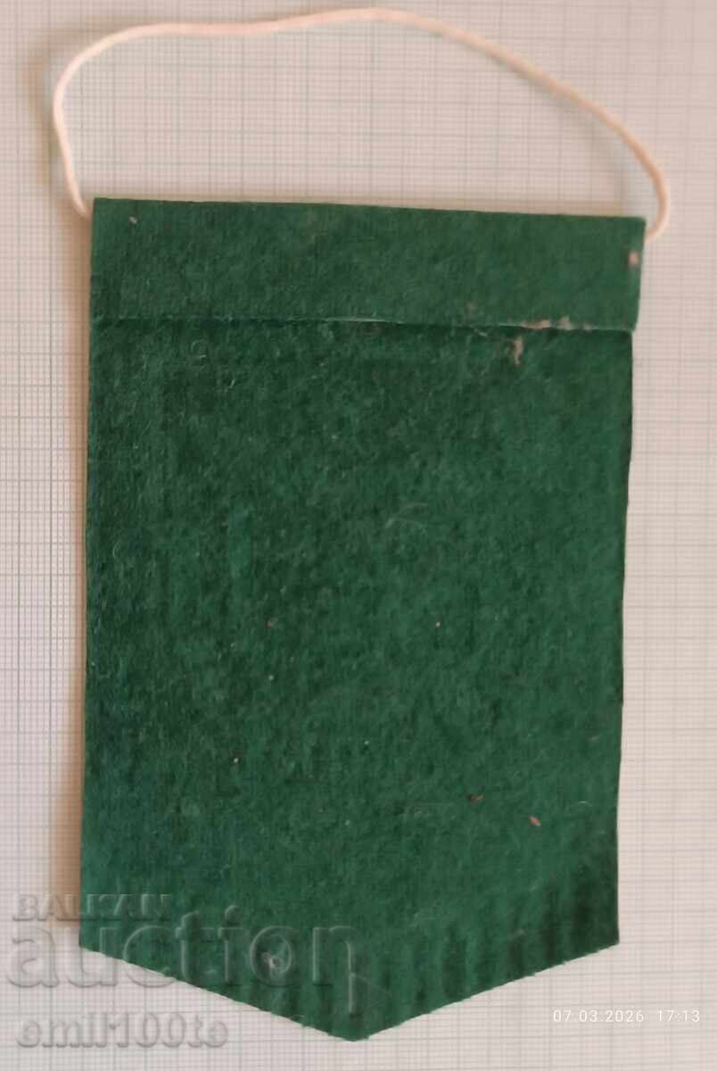 Licitație Steag - DFS și clubul de fotbal Steagul Roșu Pavlikeni