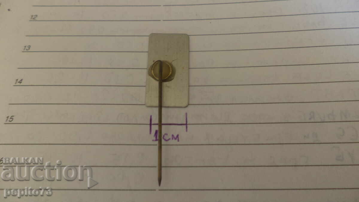 Livrarea Insigna publicitară, ten Doesshate, companie de condimente Livrarea Insigna publicitară, ten Doesshate, companie de condimente