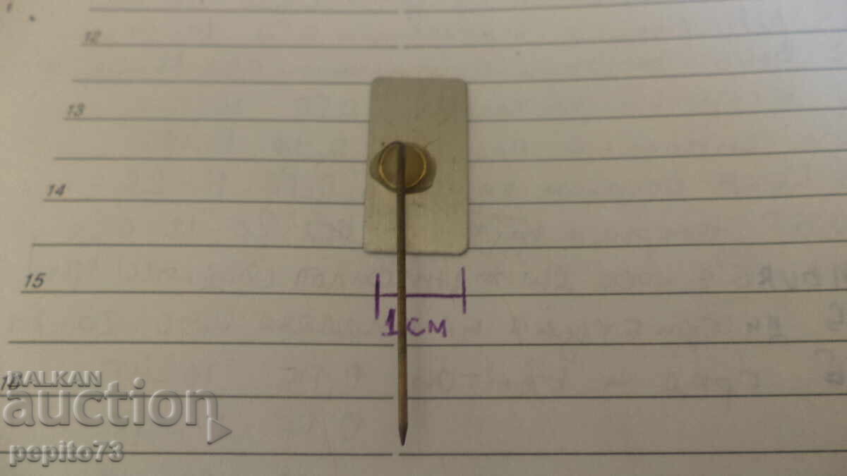 Insigna publicitară, ten Doesshate, companie de condimente - 5 Insigna publicitară, ten Doesshate, companie de condimente - 5