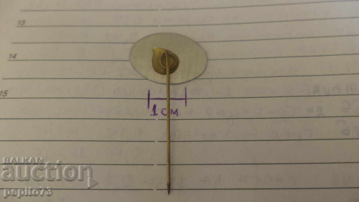 Доставка на значка рекламна,VARA, телевизия и радио