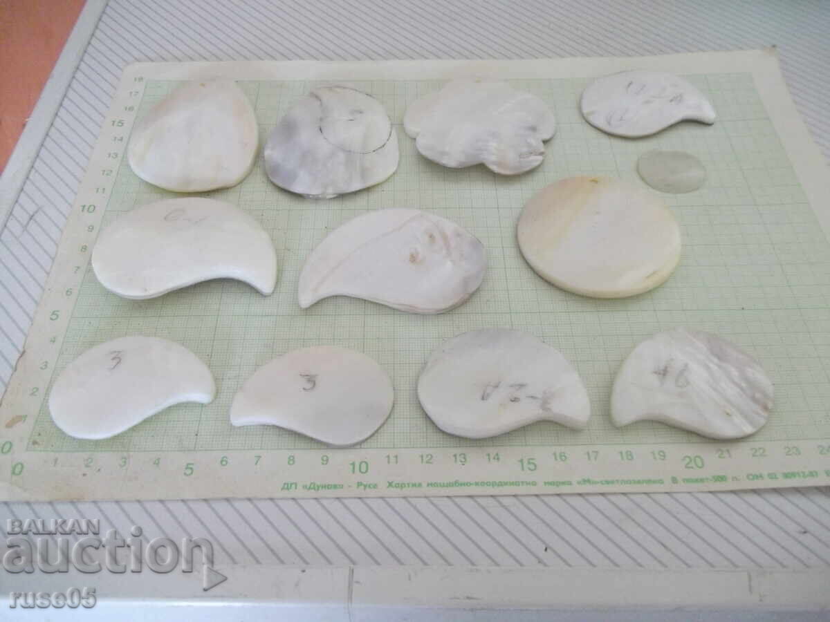 Lot of 12 mother-of-pearl tiles with price € 62.00 | 121.26 BGN