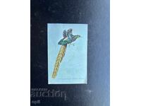 Paradise Bird Calendar 1984