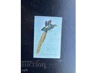 Paradise Bird Calendar 1984