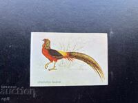 Calendar Silver Pheasant 1984