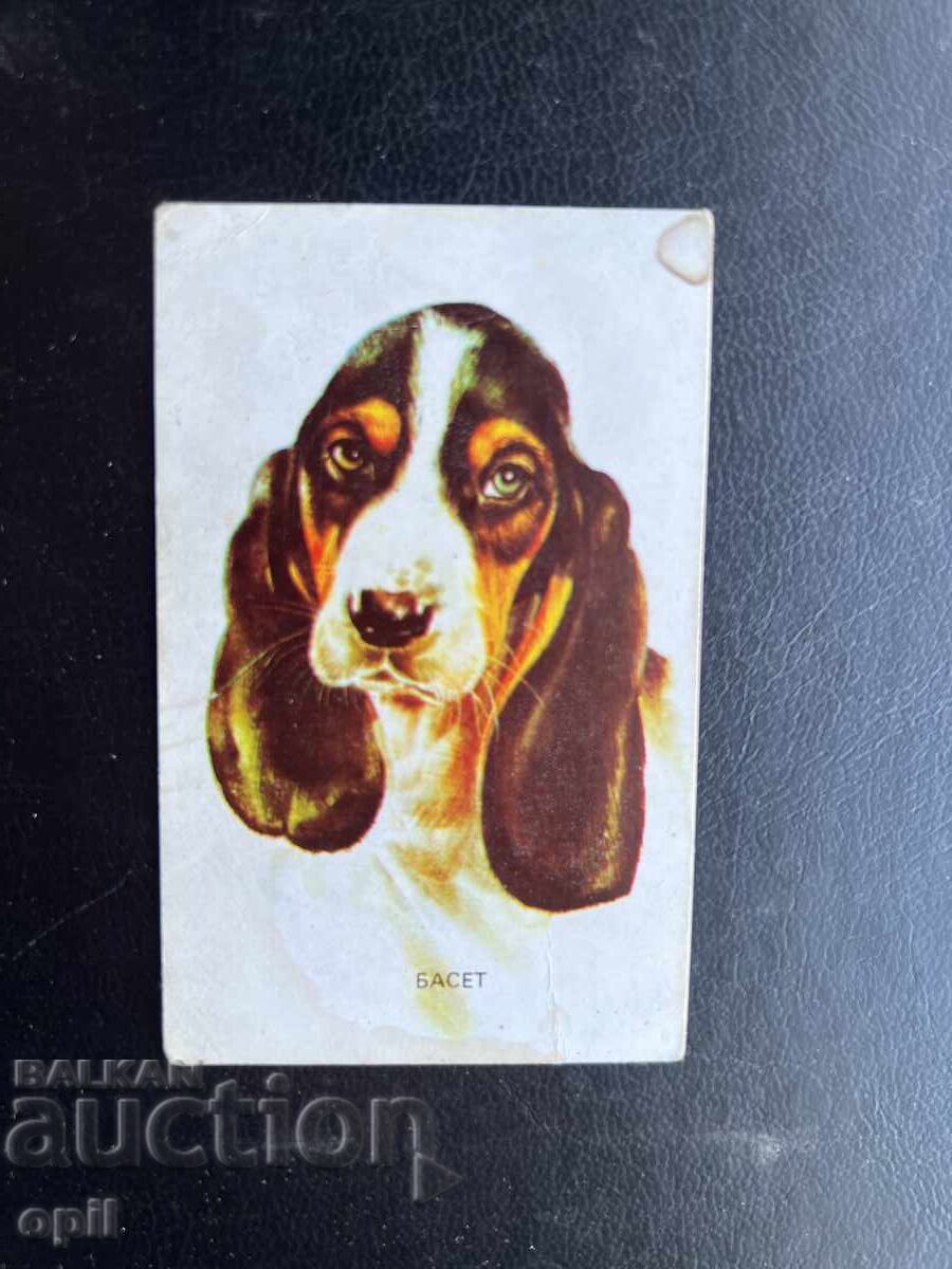 Календарче  Басет 1984