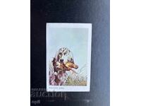 English Setter Calendar 1984