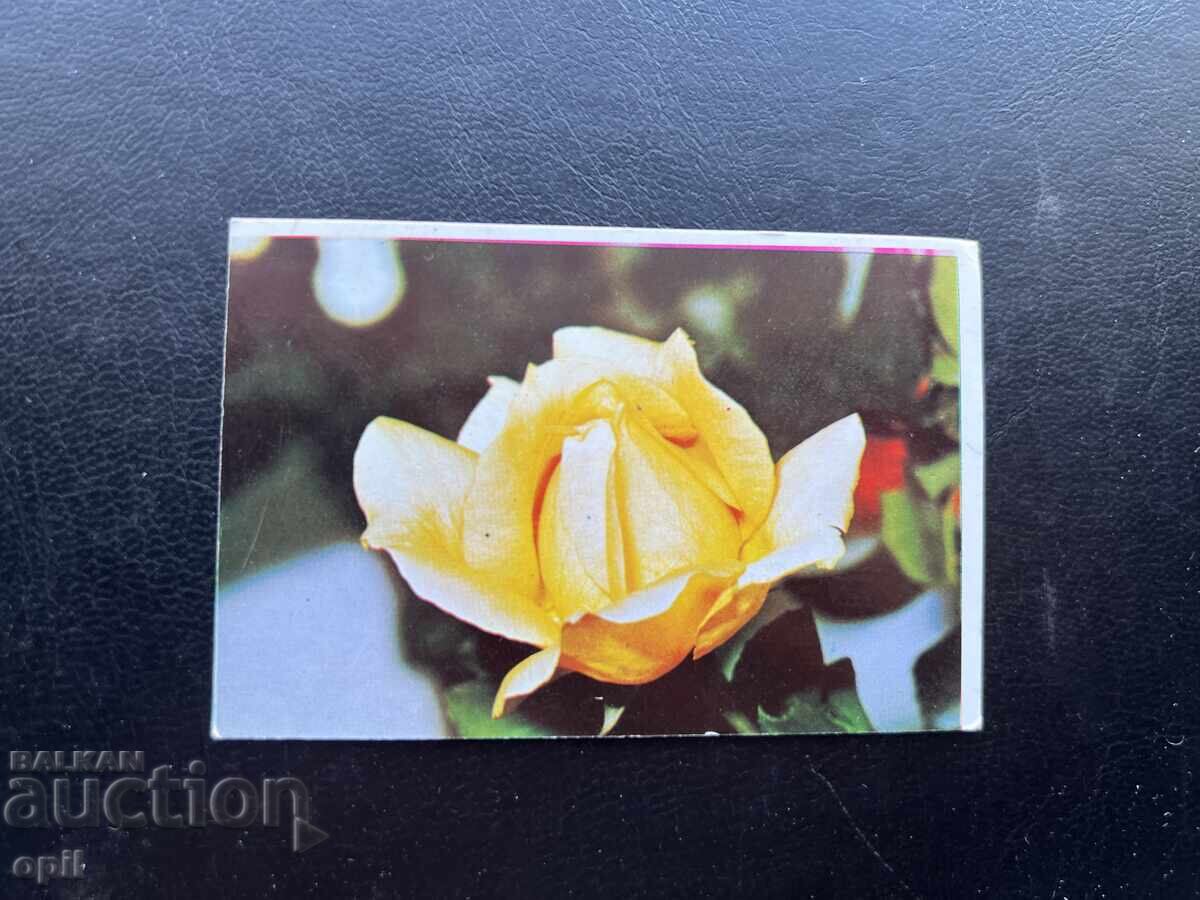 Ημερολόγιο Ρόζα 1985