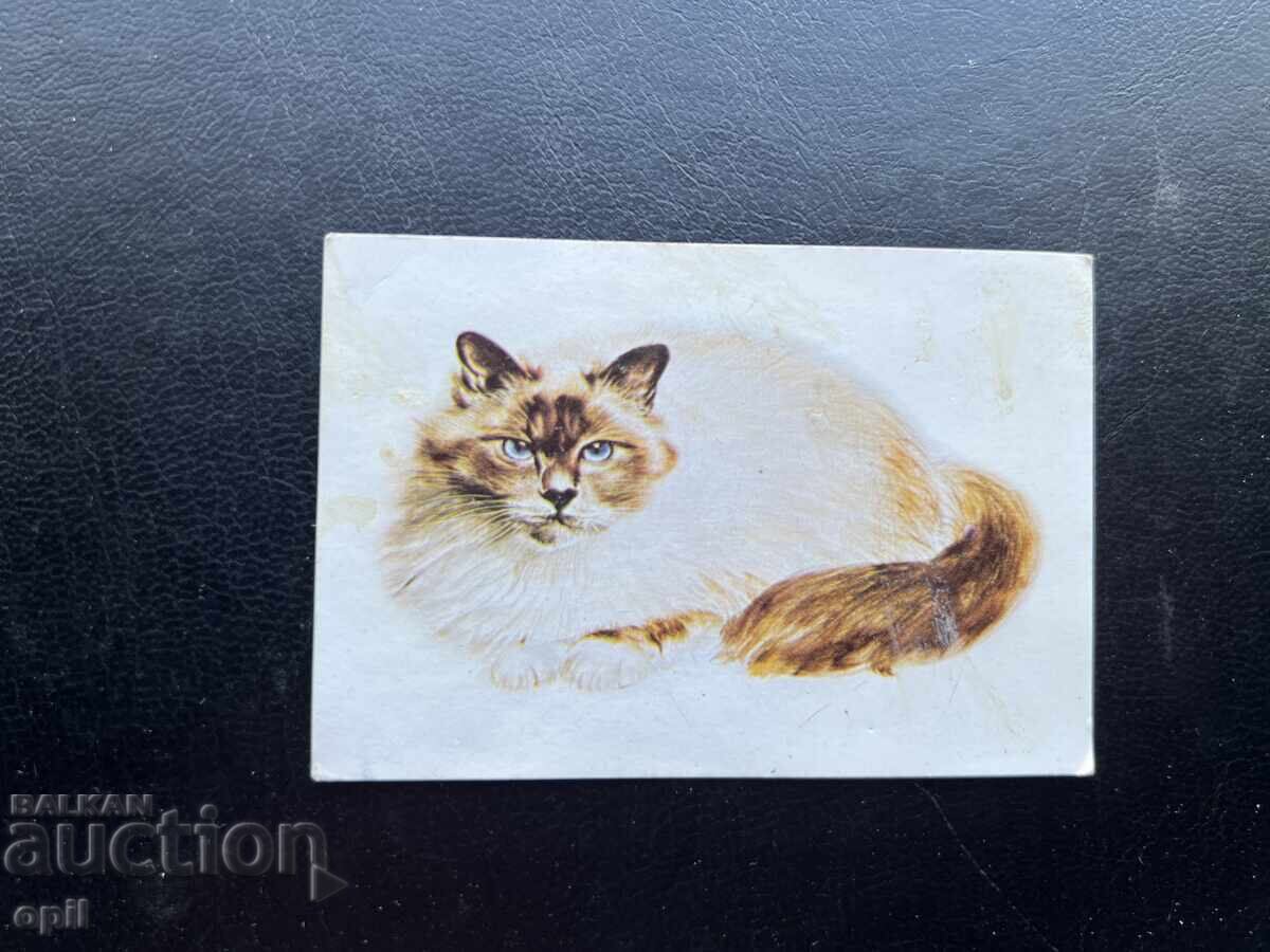 Календарче Котка 1985 Календарче Котка 1985
