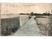 Bulgaria, Part of the Experimental Field near Sadovo Agricultural Station