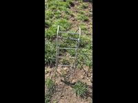 БАГАЖНИК - ПРЕДЕН - БАЛКАН