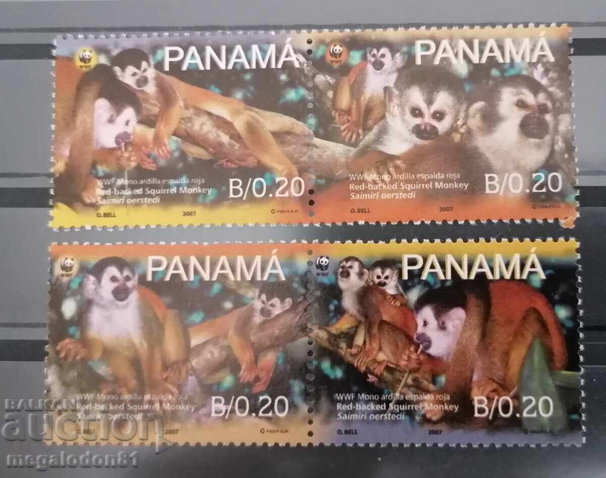 Panama - WWF fauna, monkeys