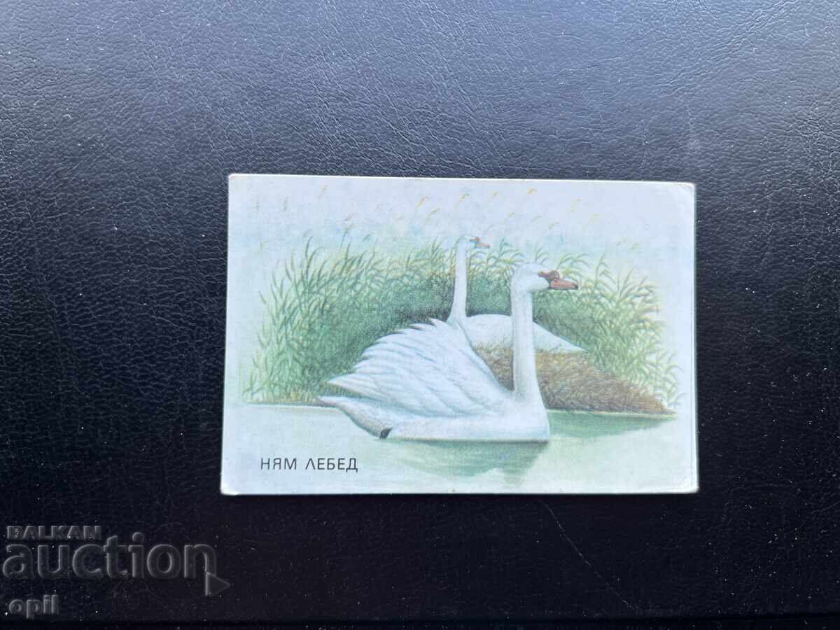 Ημερολόγιο Νιαμ Λέμπεντ 1988