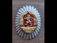 Enamel Social Cockade Enamel Badge Badge