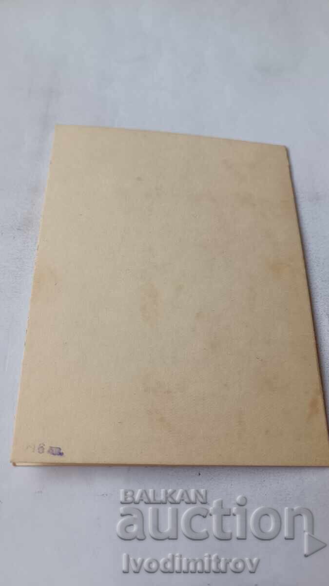 Licitație Carte poștală de felicitare