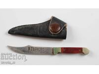 Măicuță cu teacă V. Tărnovo