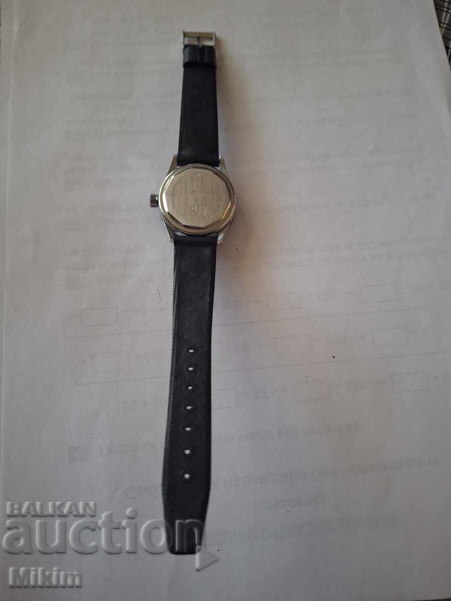 Delivery of Lucerne Dive Watch, Brand New