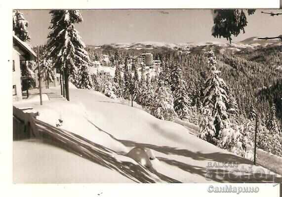 Carte poștală Bulgaria Pamporovo Vedere 8*