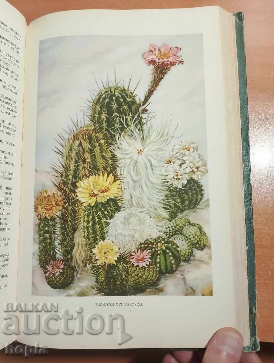 ЦВЕТАРСТВО 1952 г. - 5