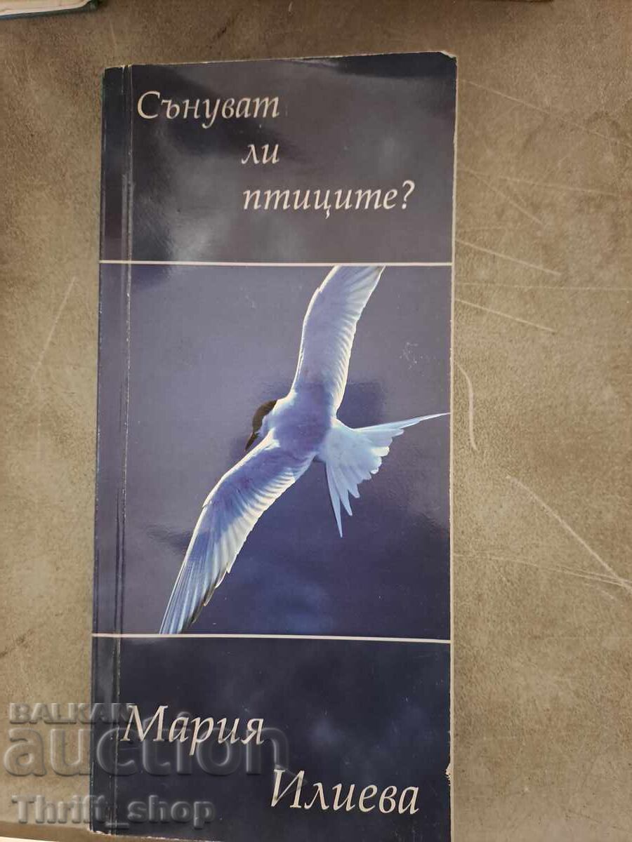 Sŭnuvat li ptitsite Mariya Ilieva - poslanie