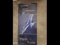 Сънуват ли птиците Мария Илиева - послание
