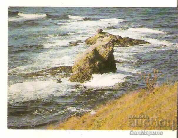 Card Bulgaria Michurin Camping „Nestinarka” 3* Card Bulgaria Michurin Camping „Nestinarka” 3*