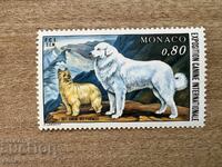 Монако - Международна изложба на кучета, Монте... (1977) MNH
