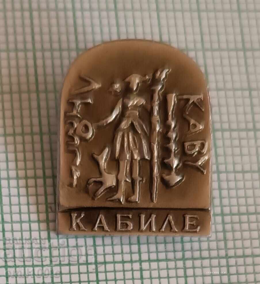 Insignă - Cablu Insignă - Cablu