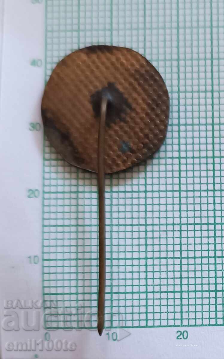 Σήμα- Durostorum Druster Silistra - 5