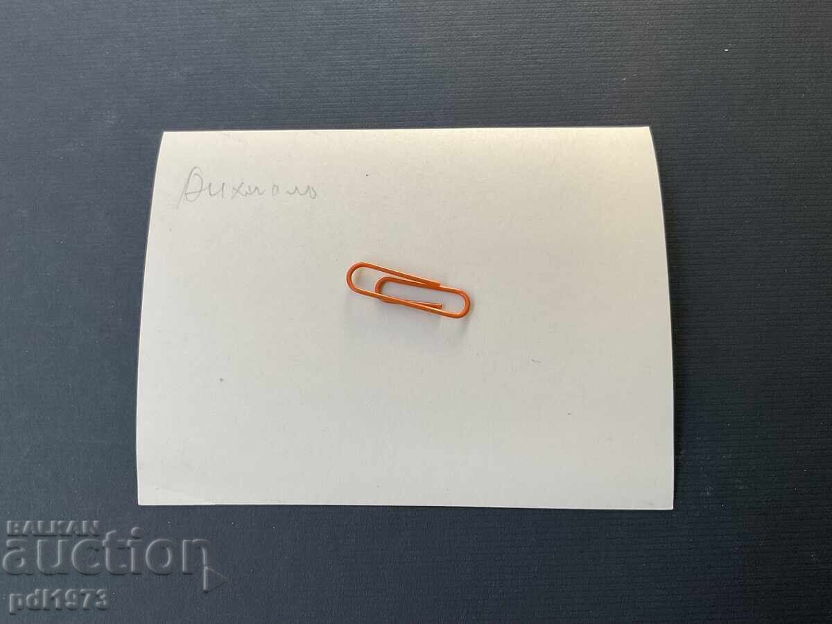 Veche fotografie insula Ankhialo, Pomorie 1920 cu preț € 9.90 | 19.36 BGN