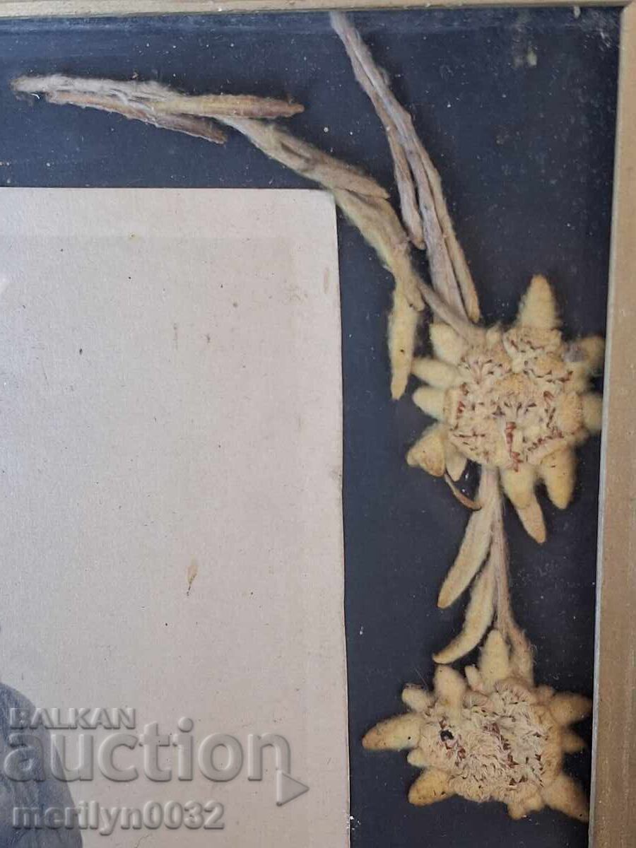 Livrarea Fotografie portret a unei alpiniste cu 6 buc. Floare de colț Livrarea Fotografie portret a unei alpiniste cu 6 buc. Floare de colț