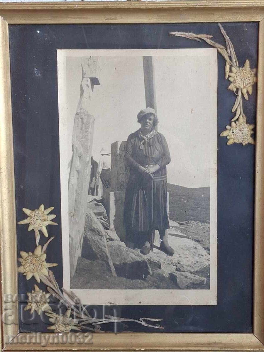 Fotografie portret a unei alpiniste cu 6 buc. Floare de colț Fotografie portret a unei alpiniste cu 6 buc. Floare de colț