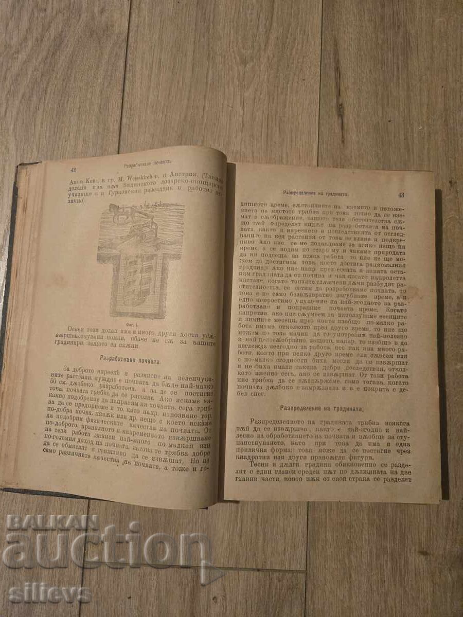 Licitație Ghid de grădinărit 1922