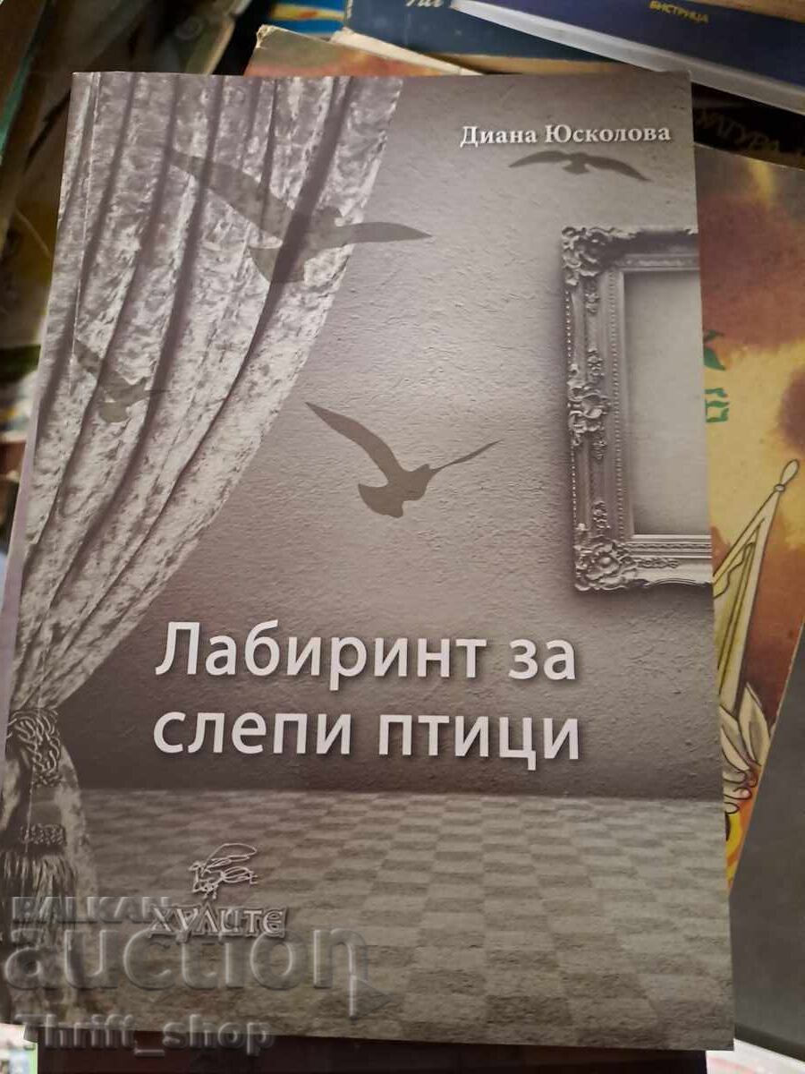 Λαβύρινθος για τυφλά πουλιά Ντιάνα Γιούσκοβα - μήνυμα