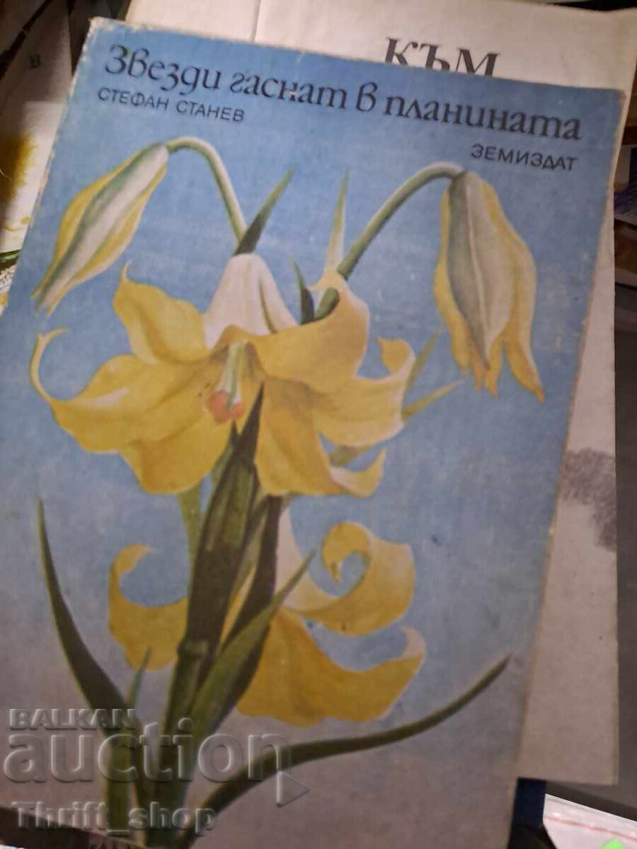 Stele se sting in muntele Stefan Stanev