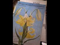 Stars go out in the mountains Stefan Stanev