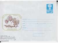 Envelope