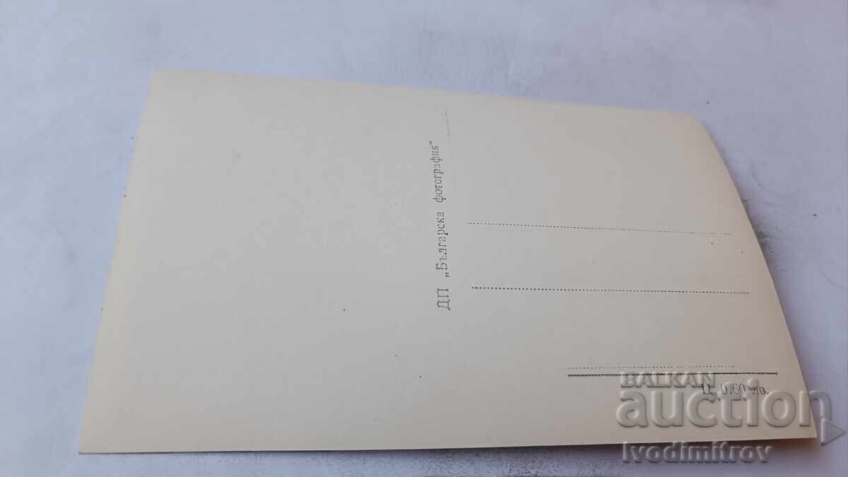 Felicitare Poștală Stațiunea Vasil Kolarov Vedere Generală cu preț € 1.24 | 2.43 BGN