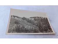 Пощенска картичка Летовище Васил Коларов Общ изглед