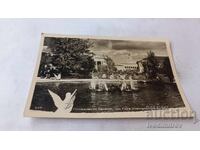 Ευχετήρια Κάρτα Φιλιππούπολη Διεθνής Έκθεση Φιλιππούπολης