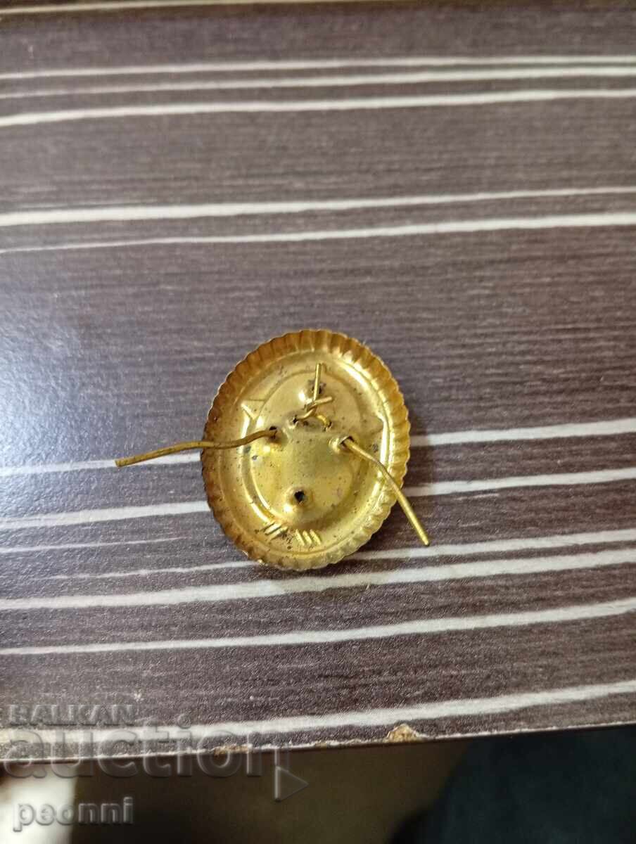 Emajl, insignă socială-2 cu preț € 8.00 | 15.65 BGN