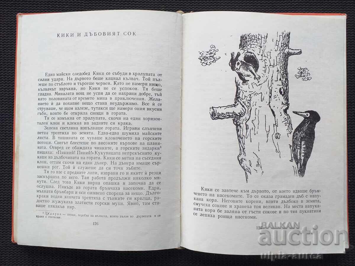 Social Children's Book with price € 1.30 | 2.54 BGN