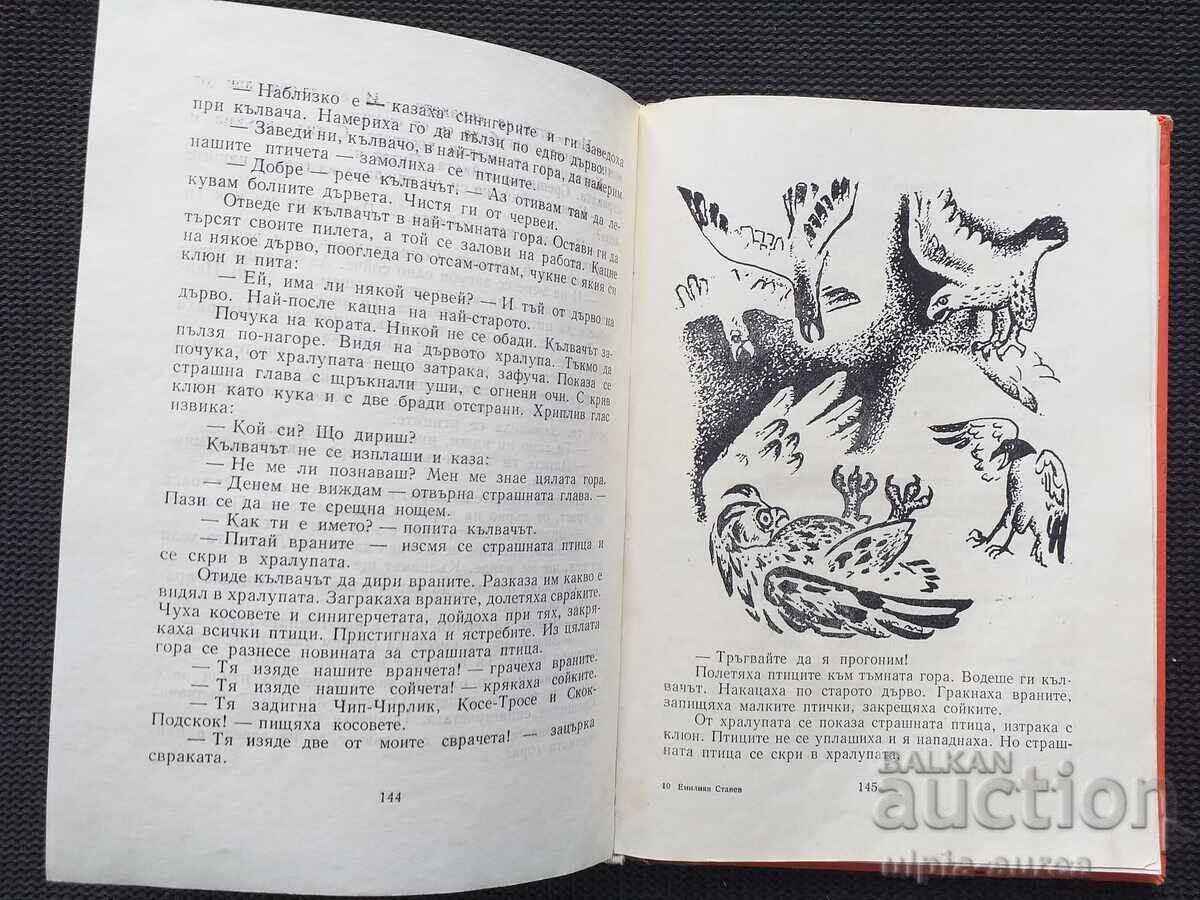 Auction  Social Children's Book