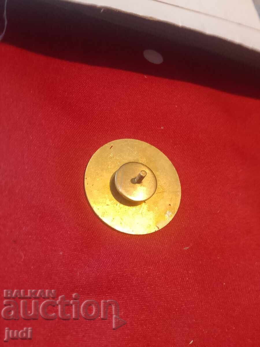 Δημοπρασία Διακριτικά του Τρίτου Ράιχ σε βίδα