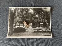 Veche fotografie Varna Grădina Mării 1920