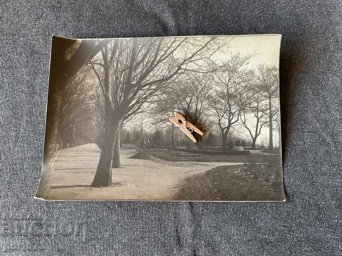 Veche fotografie Varna Grădina Mării 1920 alee